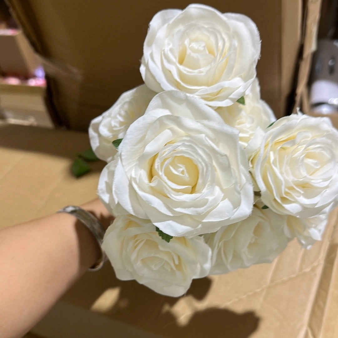 10 head champagne Rose blush