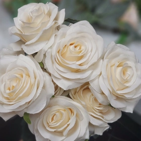 10 head champagne Rose blush realistic flower bouquet  