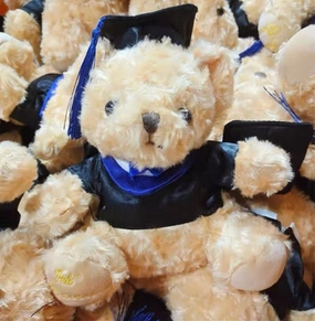 11 Graduation Bear with blue hat realistic flower bouquet  