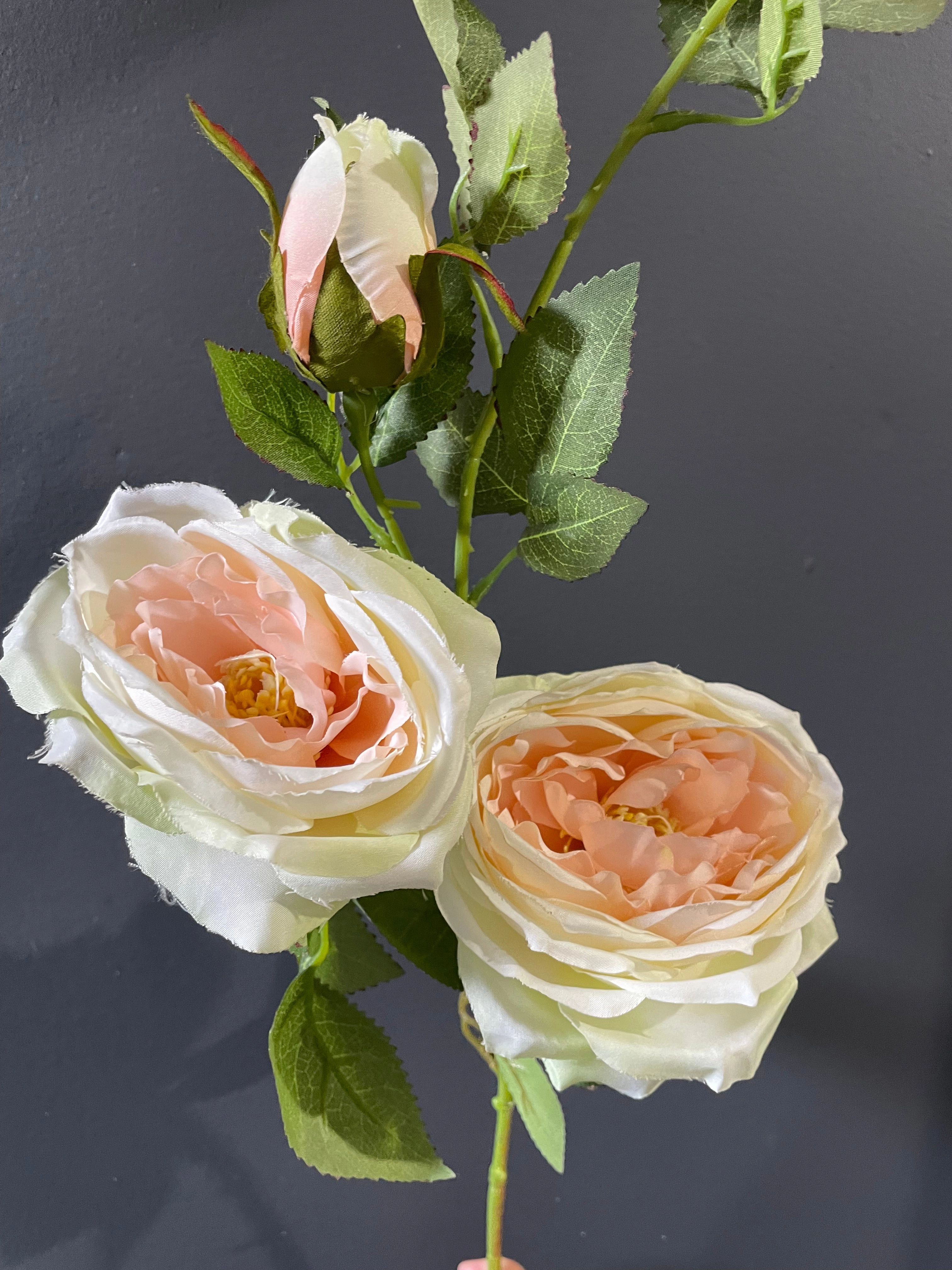 2 head Blush Austin Rose Spray realistic flower bouquet  