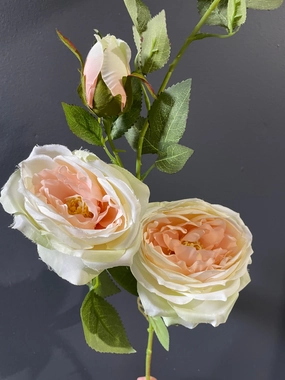 2 head Blush Austin Rose Spray realistic flower bouquet  