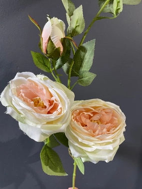2 head Blush Austin Rose Spray realistic flower bouquet  