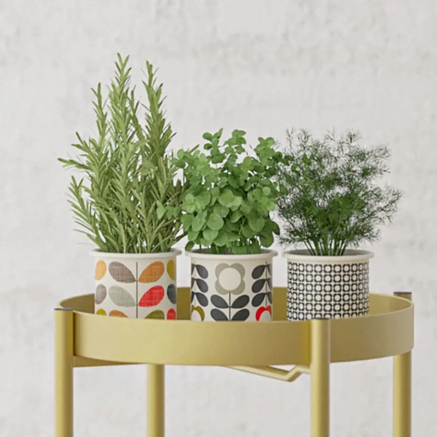 2 Layer 80cm Gold Metal Plant Stand