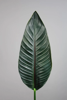 34" Bird of Paradise Leaf (s) real touch leaf floramatique artificial flower bouquet  