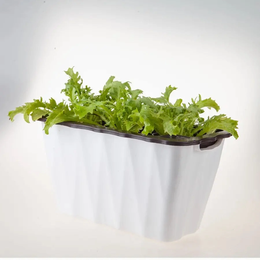 35cm White Rectangular Outdoor Planter
