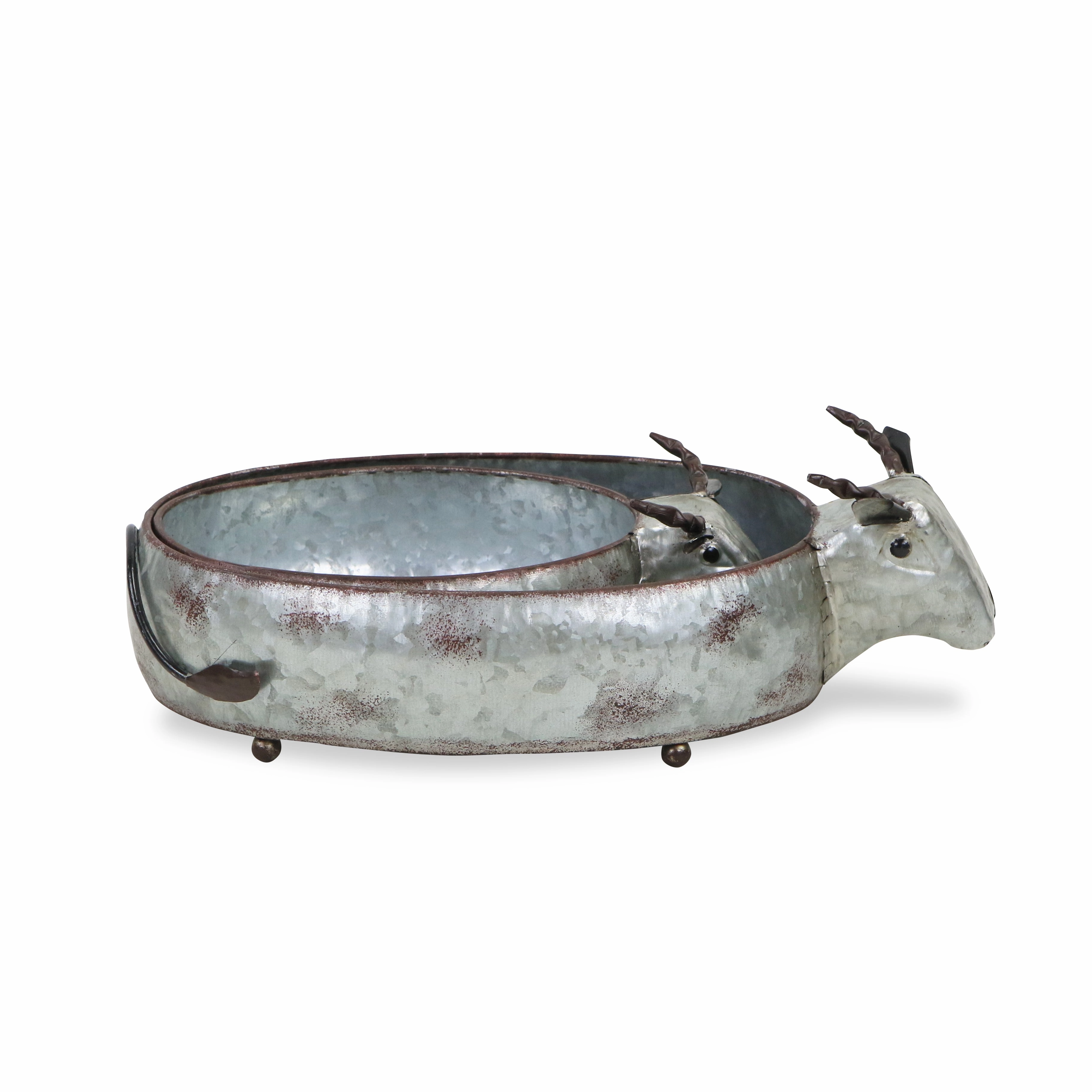 5614-2 - Dottie Cow Planters