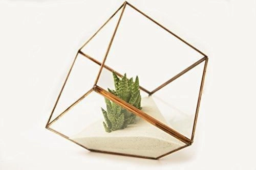 5.9" Geometric Black Cube Planter Glass Terrarium Vase  JT-T1020