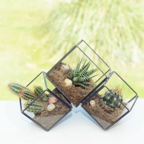 5.9" Geometric Black Cube Planter Glass Terrarium Vase  JT-T1020,aesthetic flower vase
