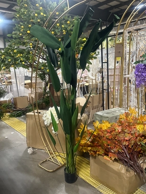 5 feet birds of paradise Tree in a pot #XDJ1313-5-20L artificial flower bouquet  