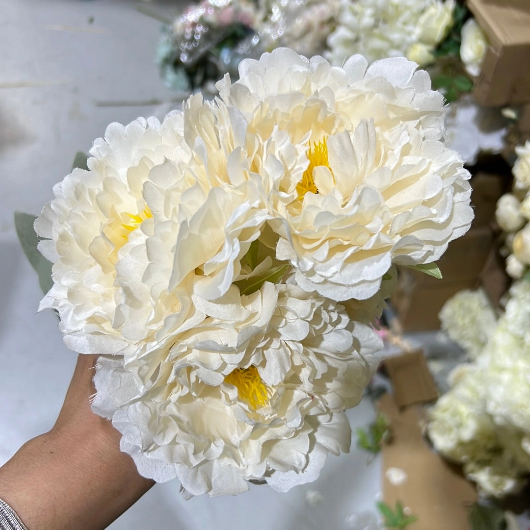5 HEAD Blush PEONIES PEONY BUNCH