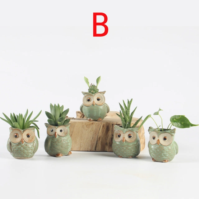 5Pcs Quality Cute Small Owl Shaped