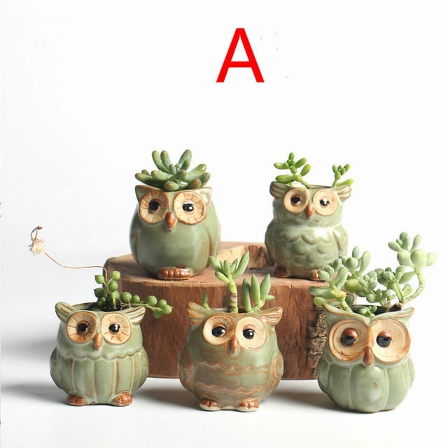 5Pcs Quality Cute Small Owl Shaped