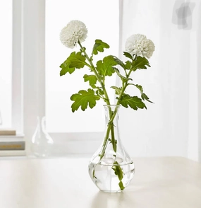 6.5 Tall Clear Bud Vase Glass,aesthetic flower vase