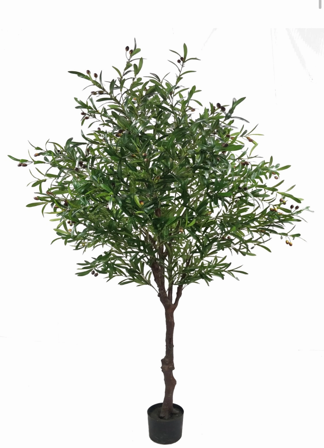 7?2.4 meter olive Tree in a pot XDJ1803-7FG realistic flower bouquet  