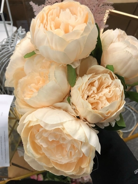7 HEAD PEONIES champagne BUNCH realistic flower bouquet  