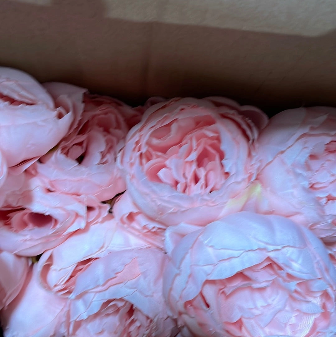 7x Peonies bunch Pink povoine