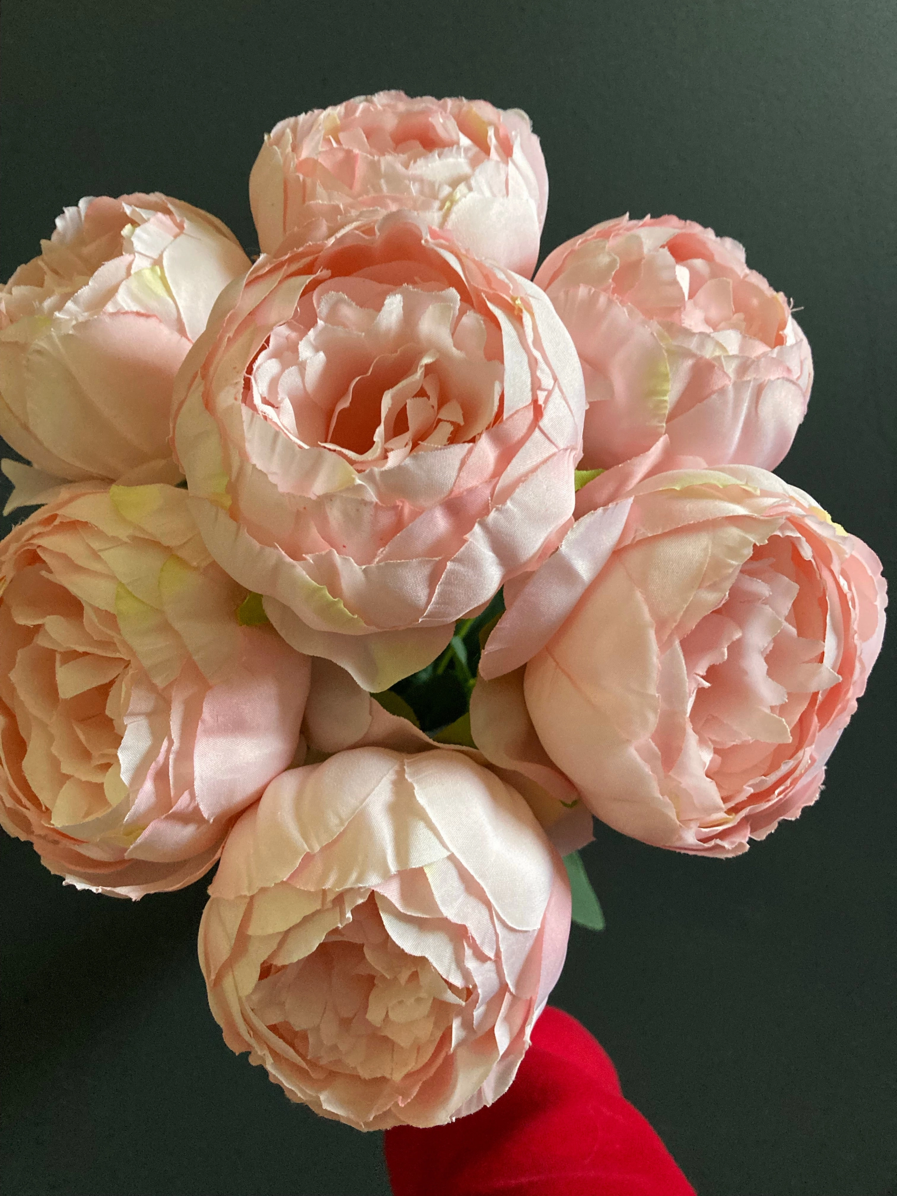 7x Peonies bunch Pink povoine