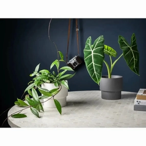 'The Essential' Porcelain Planter,outdoor garden pot