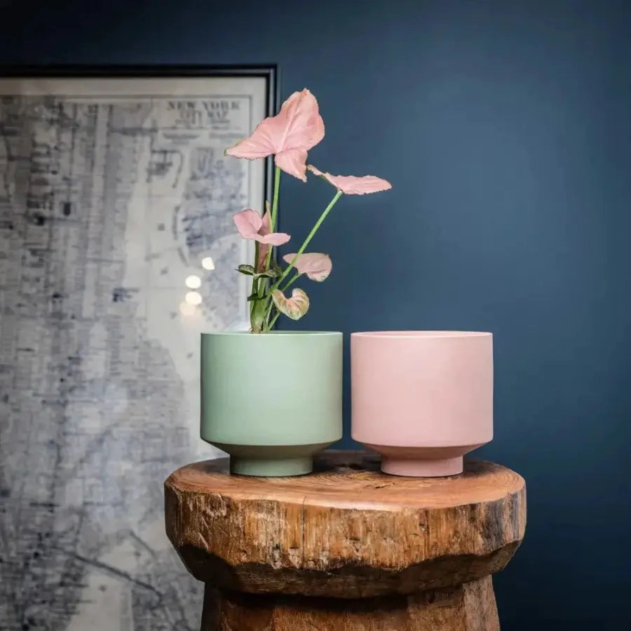 'The Rangers' Porcelain Indoor Planter