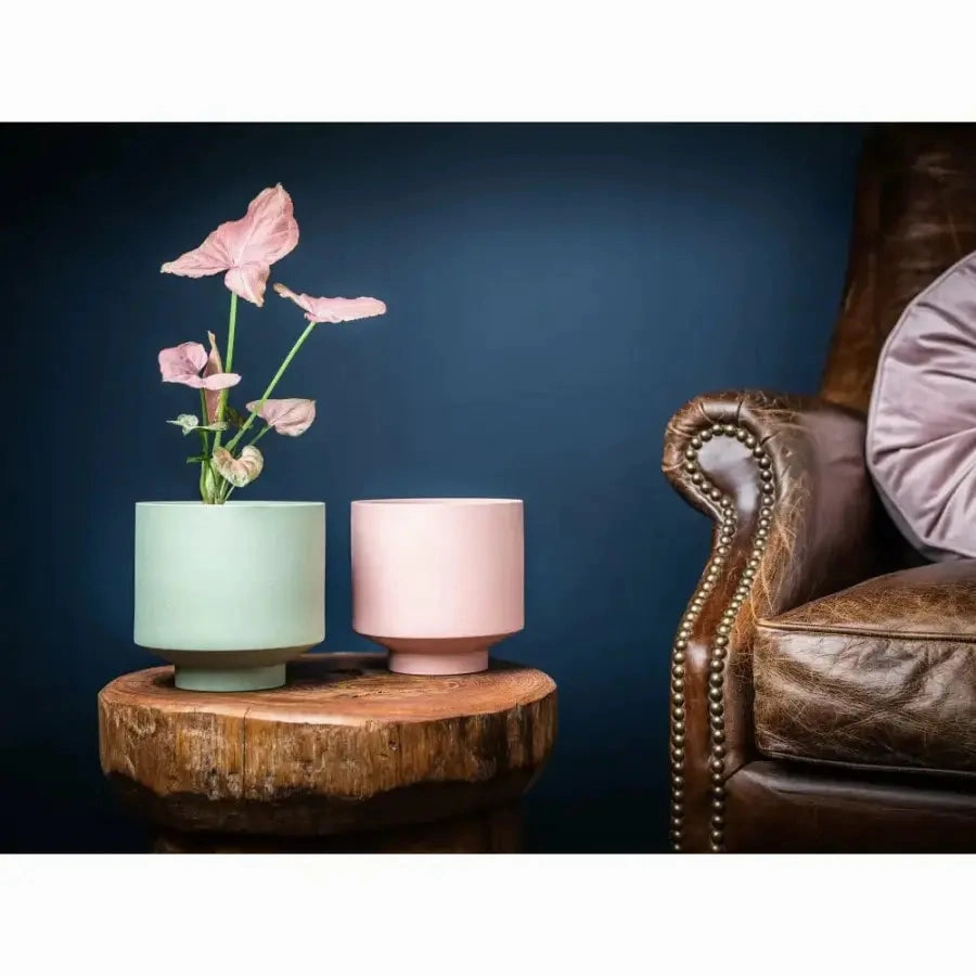 'The Rangers' Porcelain Indoor Planter
