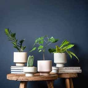 'The Rangers' Porcelain Indoor Planter & Plate,outdoor garden pot