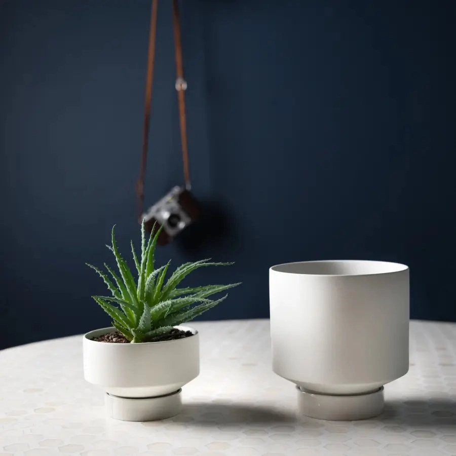 'The Rangers' Porcelain Indoor Planter & Plate