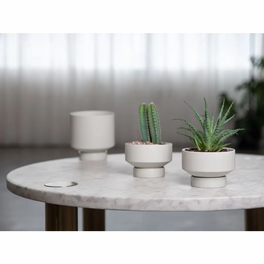'The Rangers' Porcelain Indoor Planter & Plate
