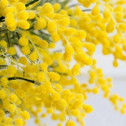 Acacia Artificial Silk Flower Stem Yellow ACACIA001
