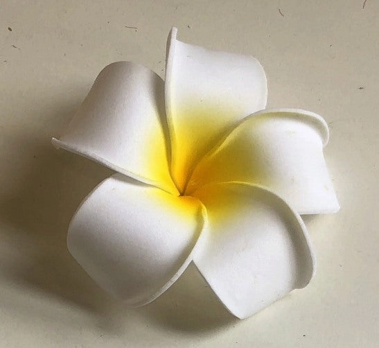 ACC0031 Frangipani / Plumeria Flowers (Floating) Blue / White / Pink / Orange