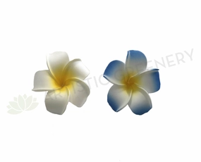 ACC0031 Frangipani / Plumeria Flowers (Floating) Blue / White / Pink / Orange,garden field mower