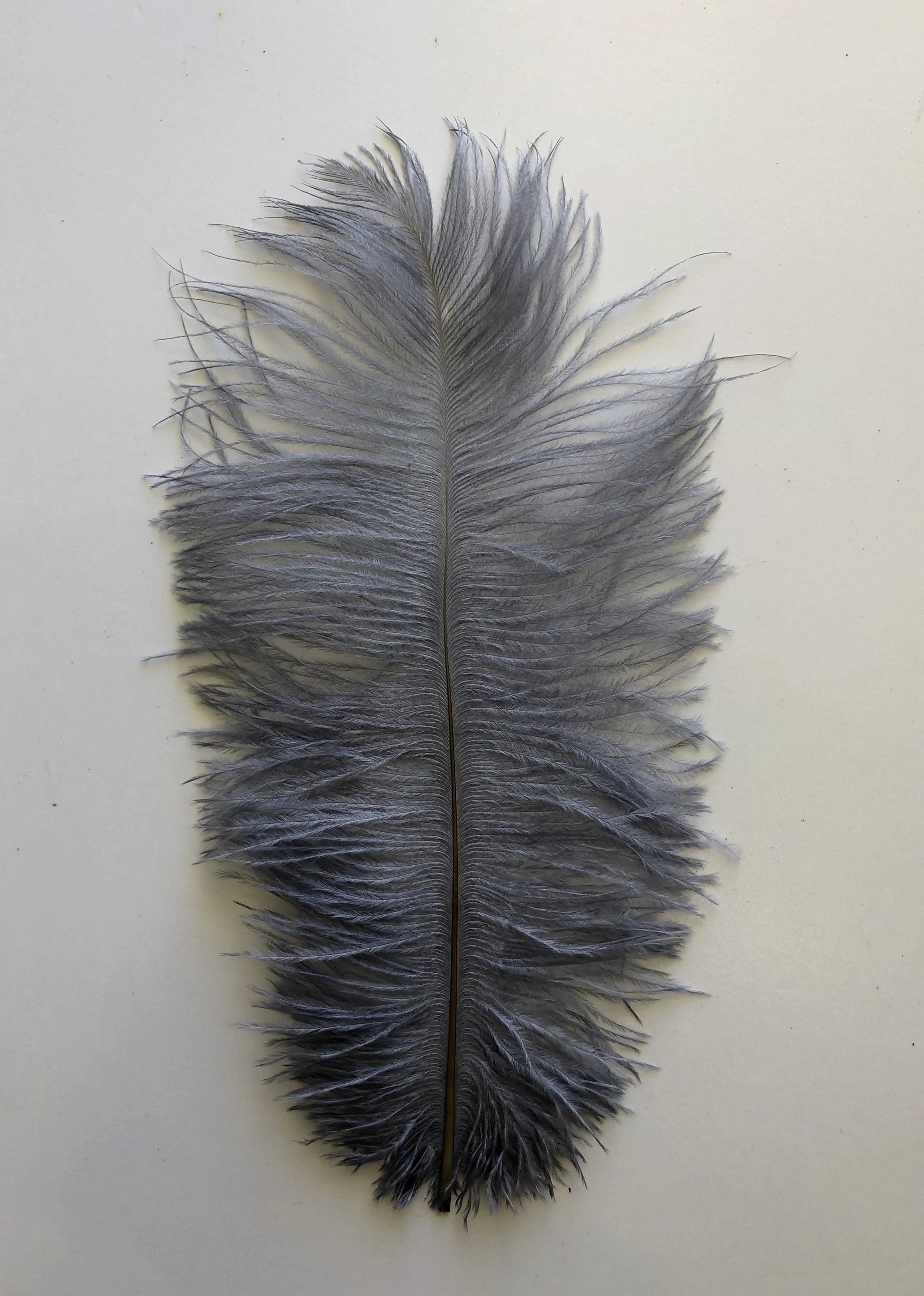 ACC0044 Ostrich Feather 27cm 4 Colours