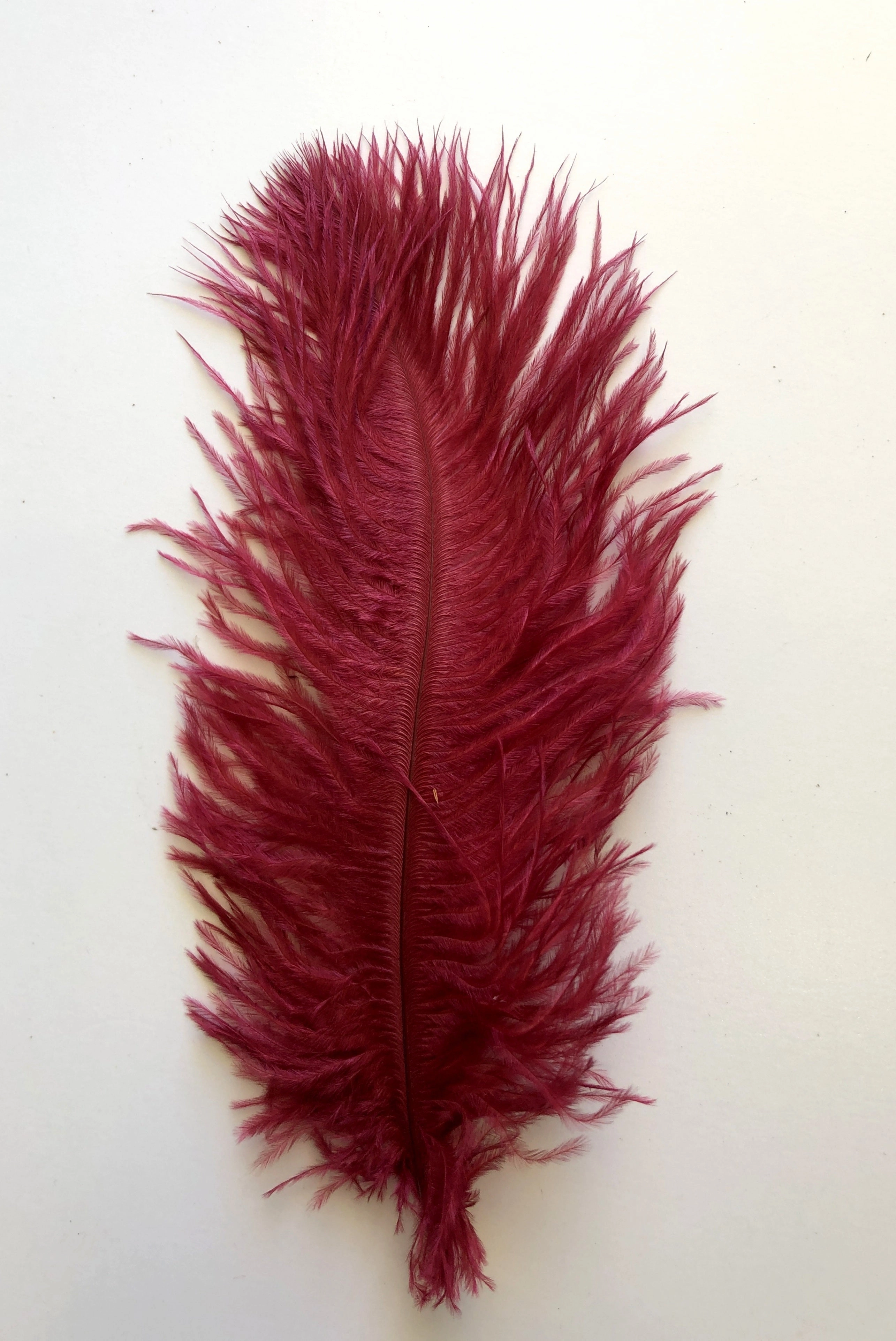 ACC0044 Ostrich Feather 27cm 4 Colours