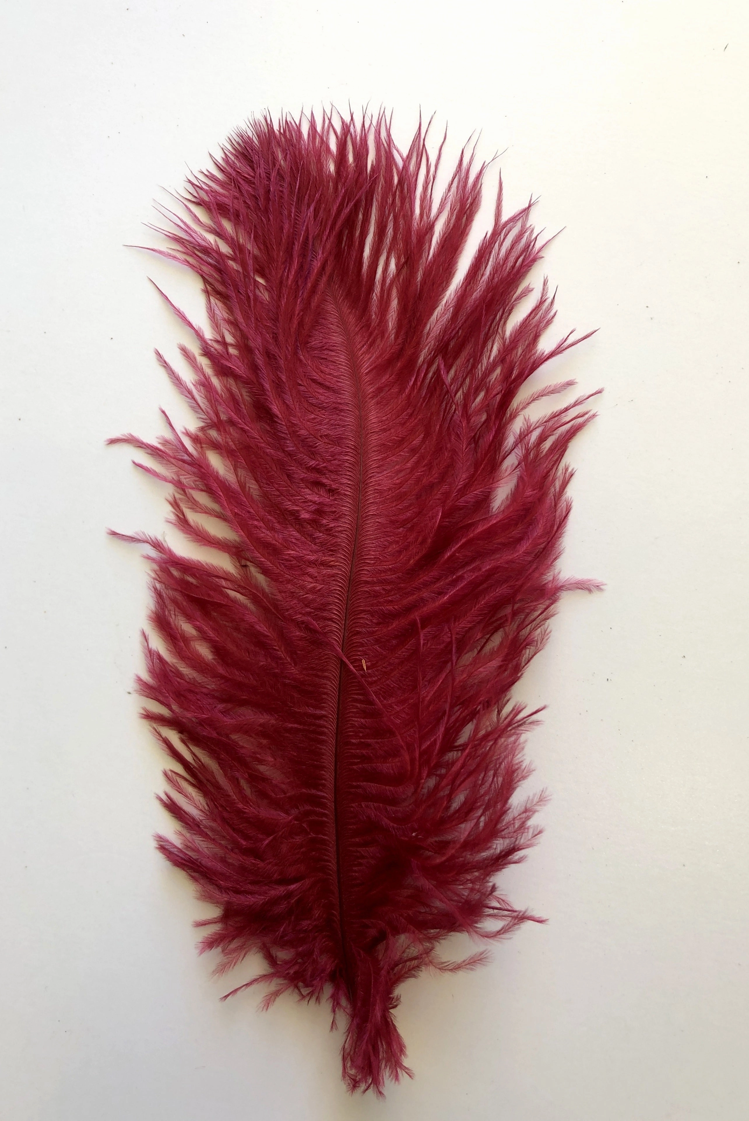 ACC0044 Ostrich Feather 27cm 4 Colours