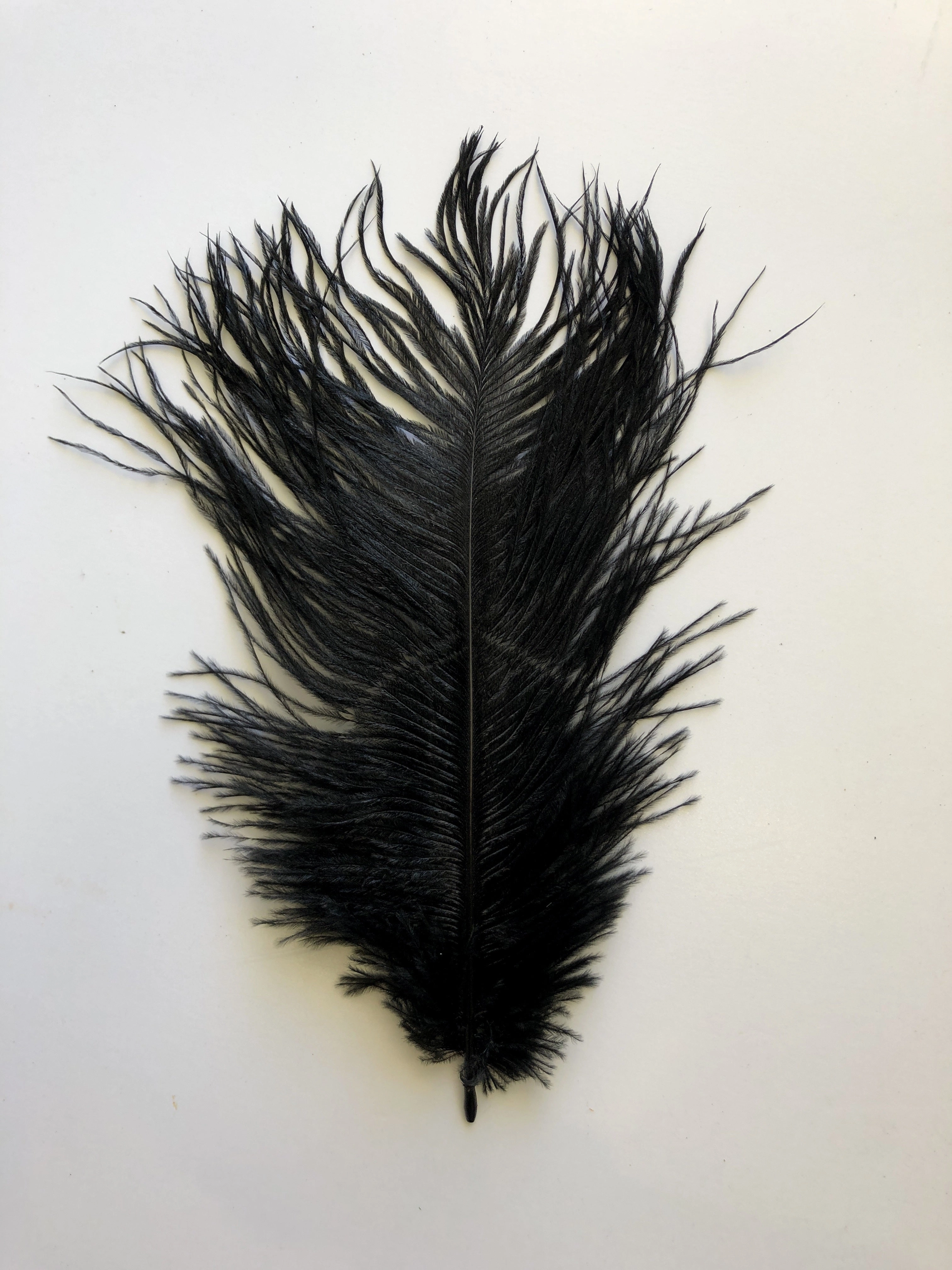 ACC0044 Ostrich Feather 27cm 4 Colours