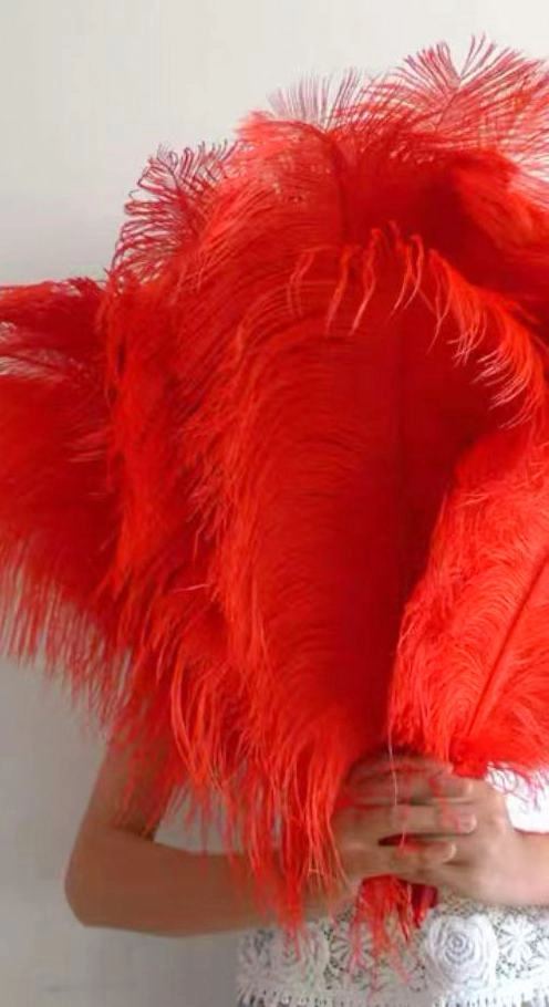 ACC0044L Ostrich Feather 45-55cm Red / Gold