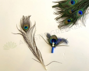 ACC0044P Peacock Feather 20-30cm,garden field mower