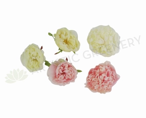 ACC0047 Single Peony Head 9cm (various colours),garden field mower