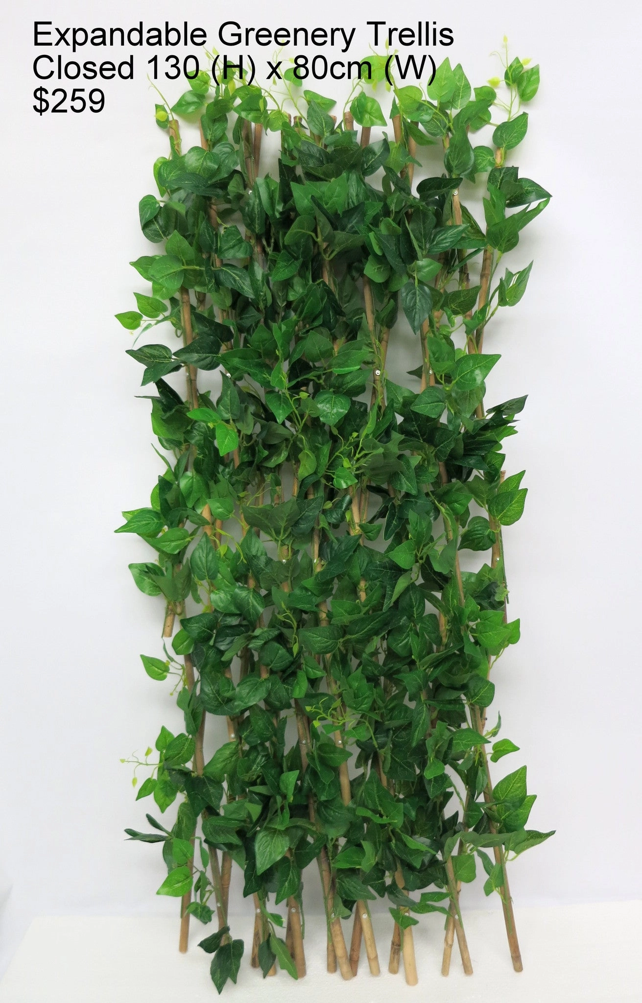 ACC0075 Expandable Greenery Trellis 300x100cm