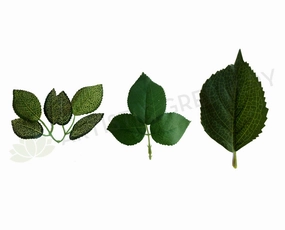 ACC0079 Single Leaf for DIY Buttonhole / Craft Project,garden field mower