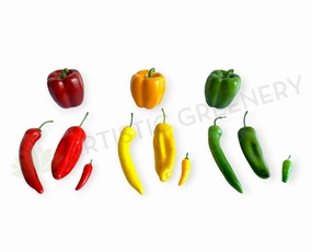 ACC0082 Artificial Capsicum & Chillies 3 colours,artificial flower bouquet 