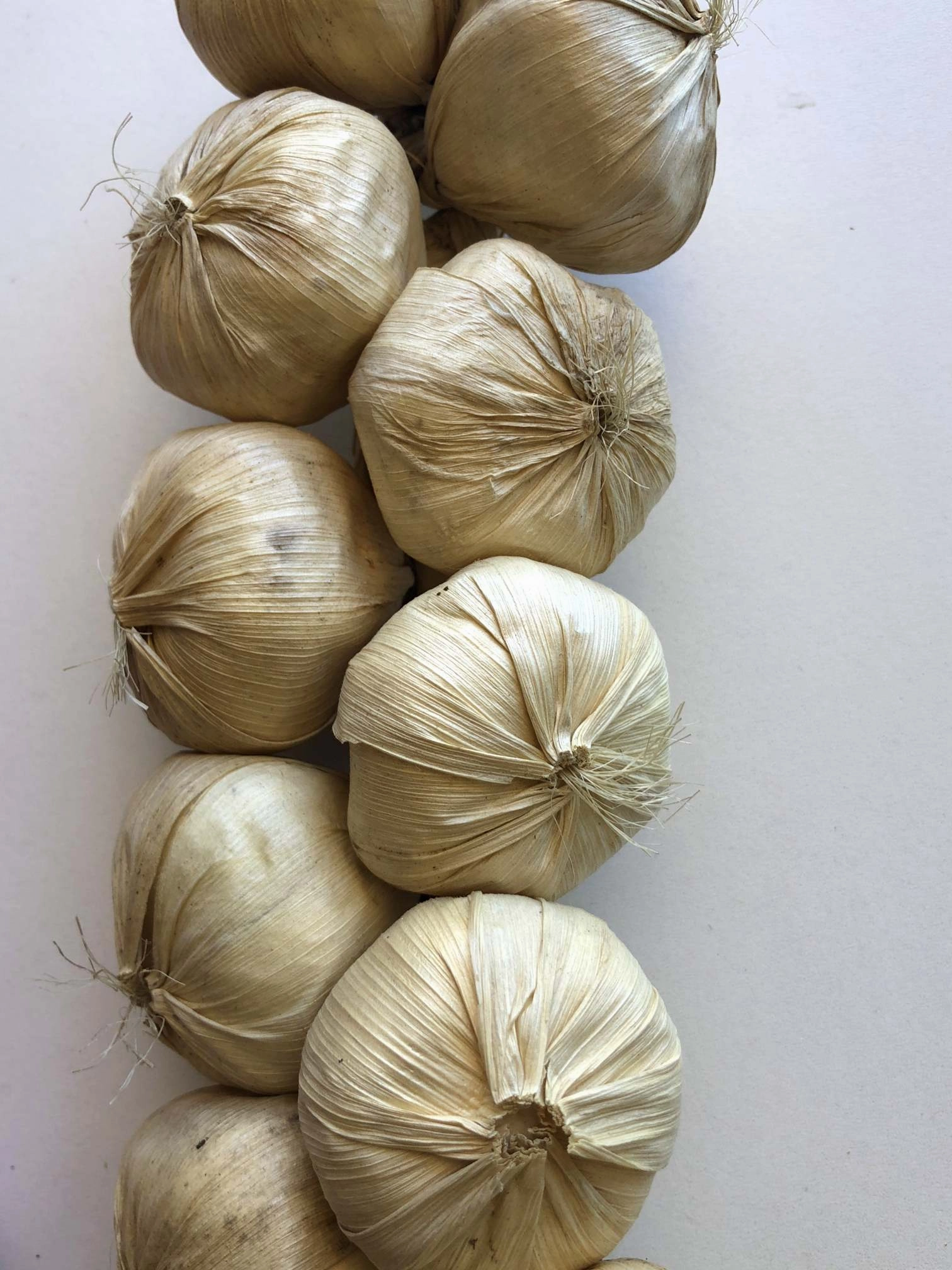 ACC0082 Artificial Garlic and Chilli
