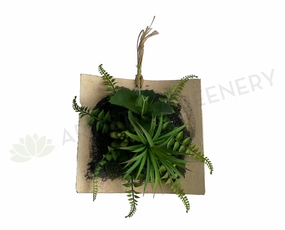 ACC0105 Succulent Art Mounted on Clay Plaque 20cm (SPECIAL),garden field mower