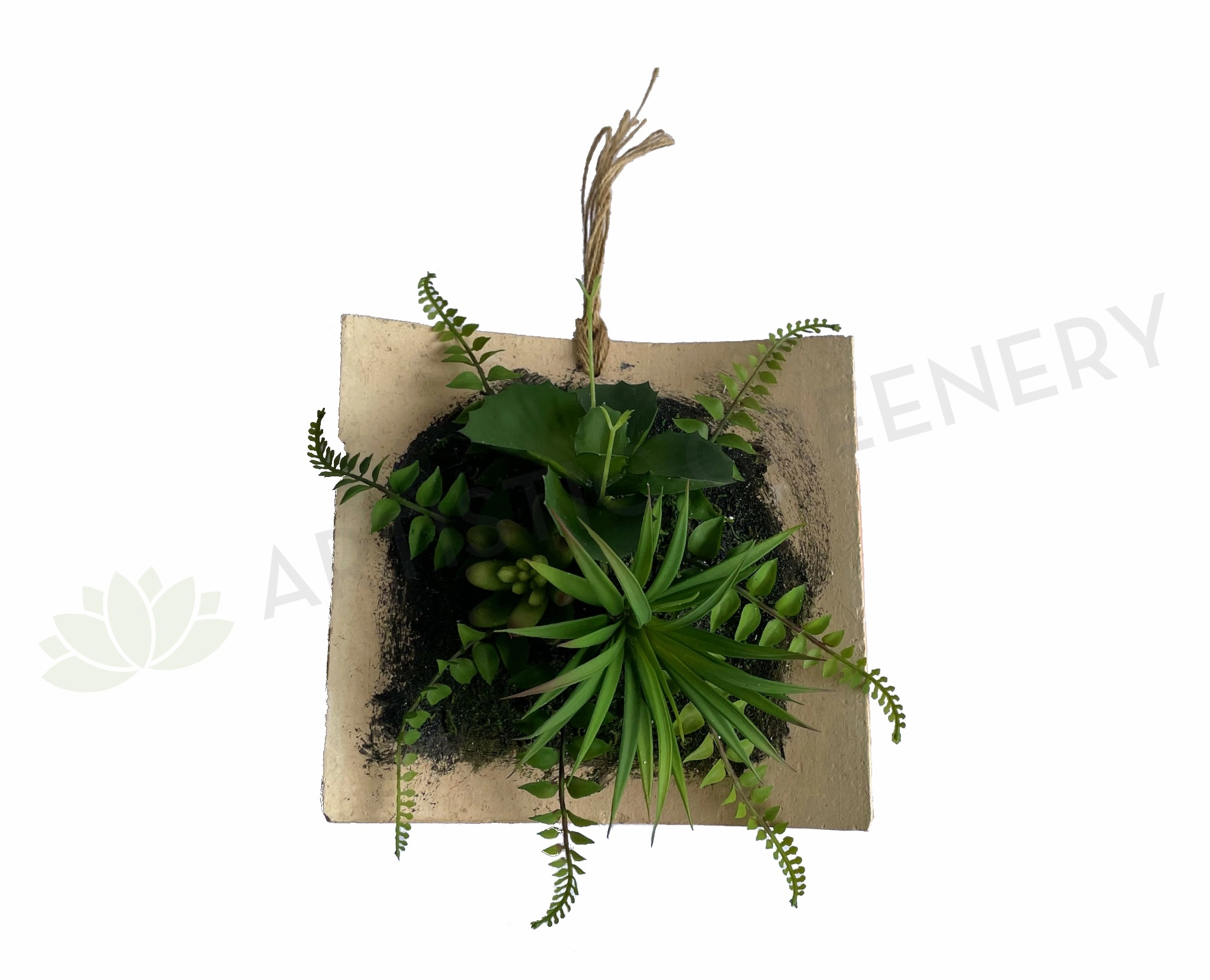 ACC0105 Succulent Art Mounted on Clay Plaque 20cm (SPECIAL),garden field mower