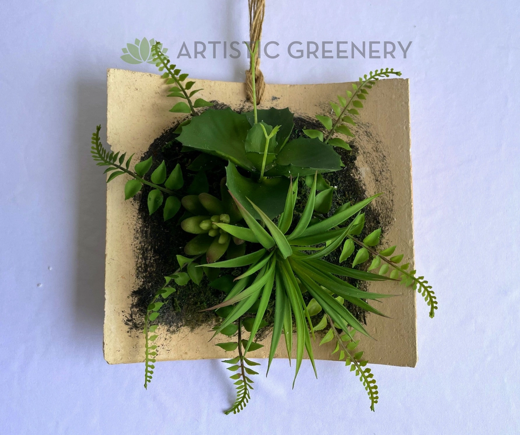 ACC0105 Succulent Art Mounted on Clay Plaque 20cm (SPECIAL)