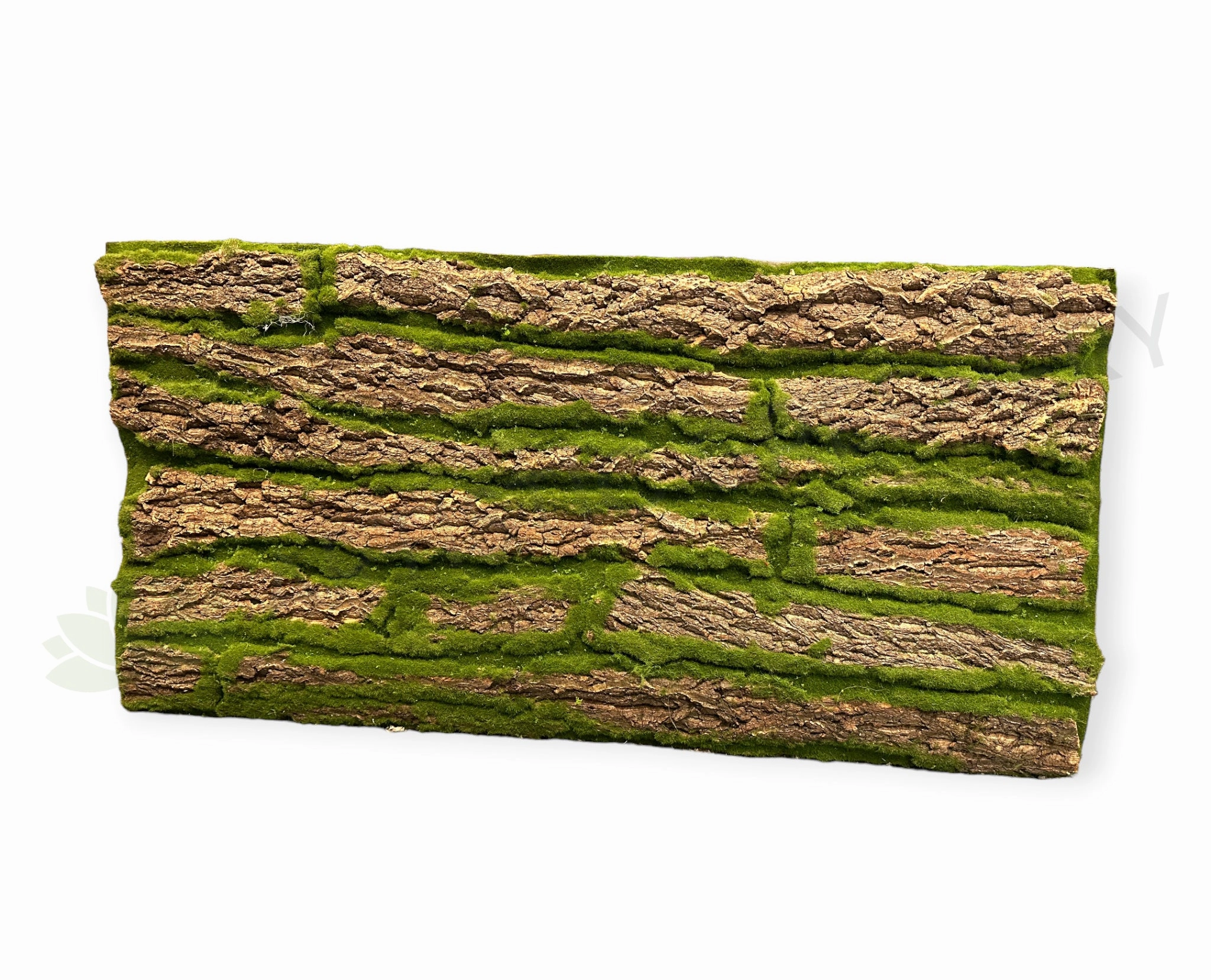 ACC0113 Moss Wall Panel 100x50cm,garden field mower