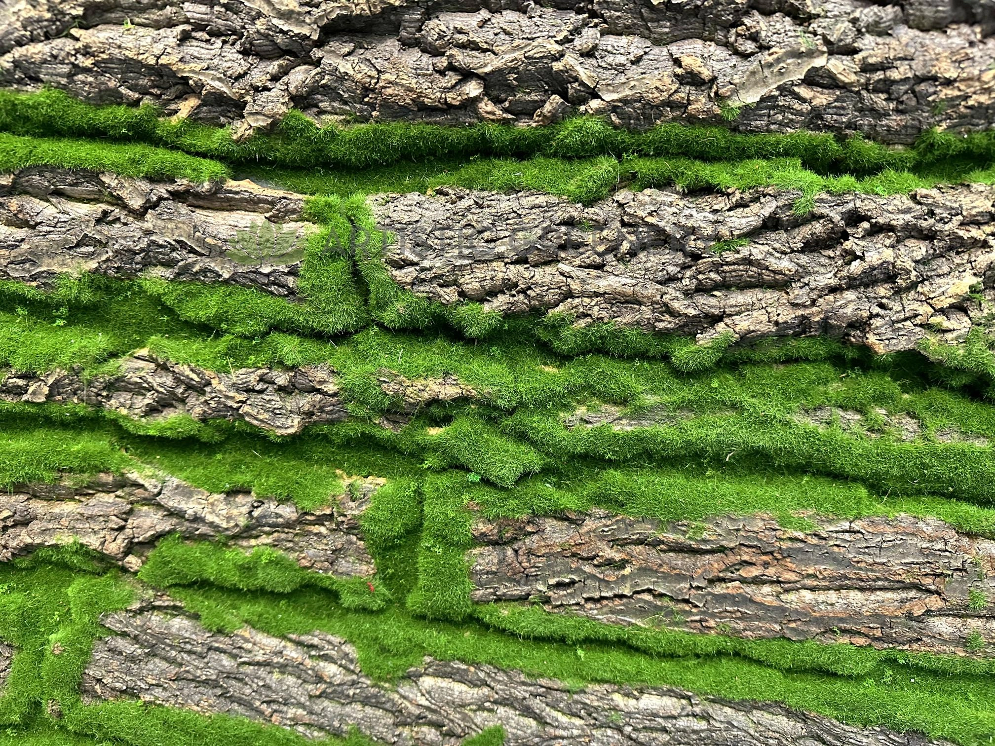 ACC0113 Moss Wall Panel 100x50cm
