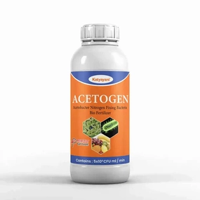 Acetobacter Nitrogen Fixing Bio Fertilizer,potted plant decor