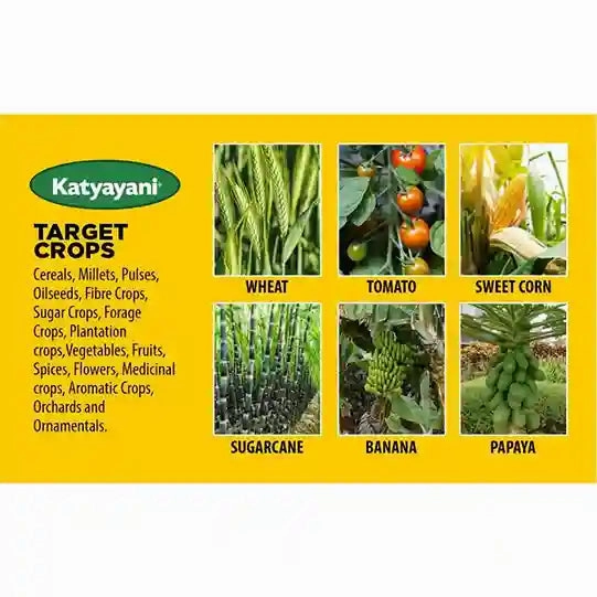 Acetobacter Nitrogen Fixing Bio Fertilizer