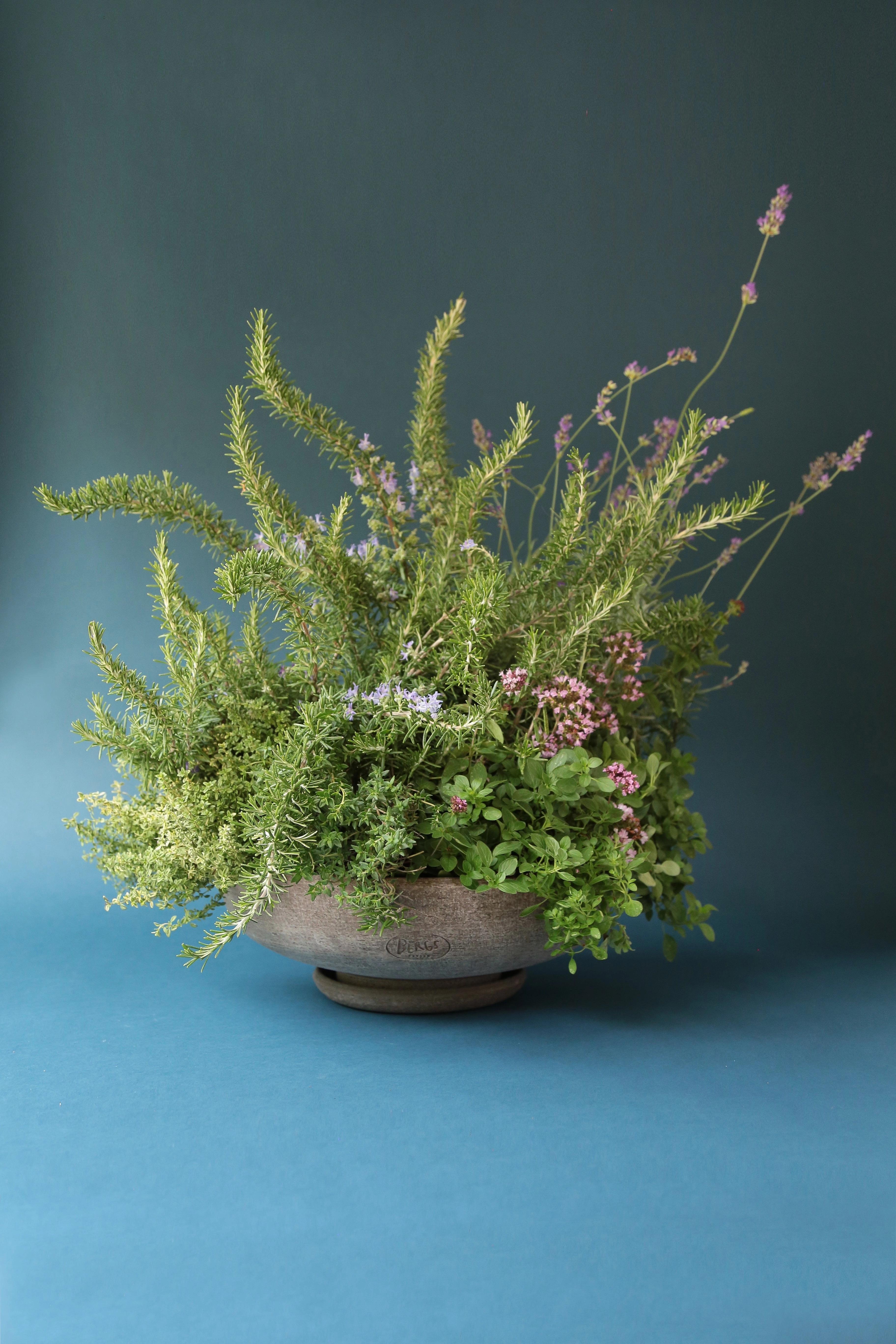 Ada Clay Bowl & Saucer Grey 40cm