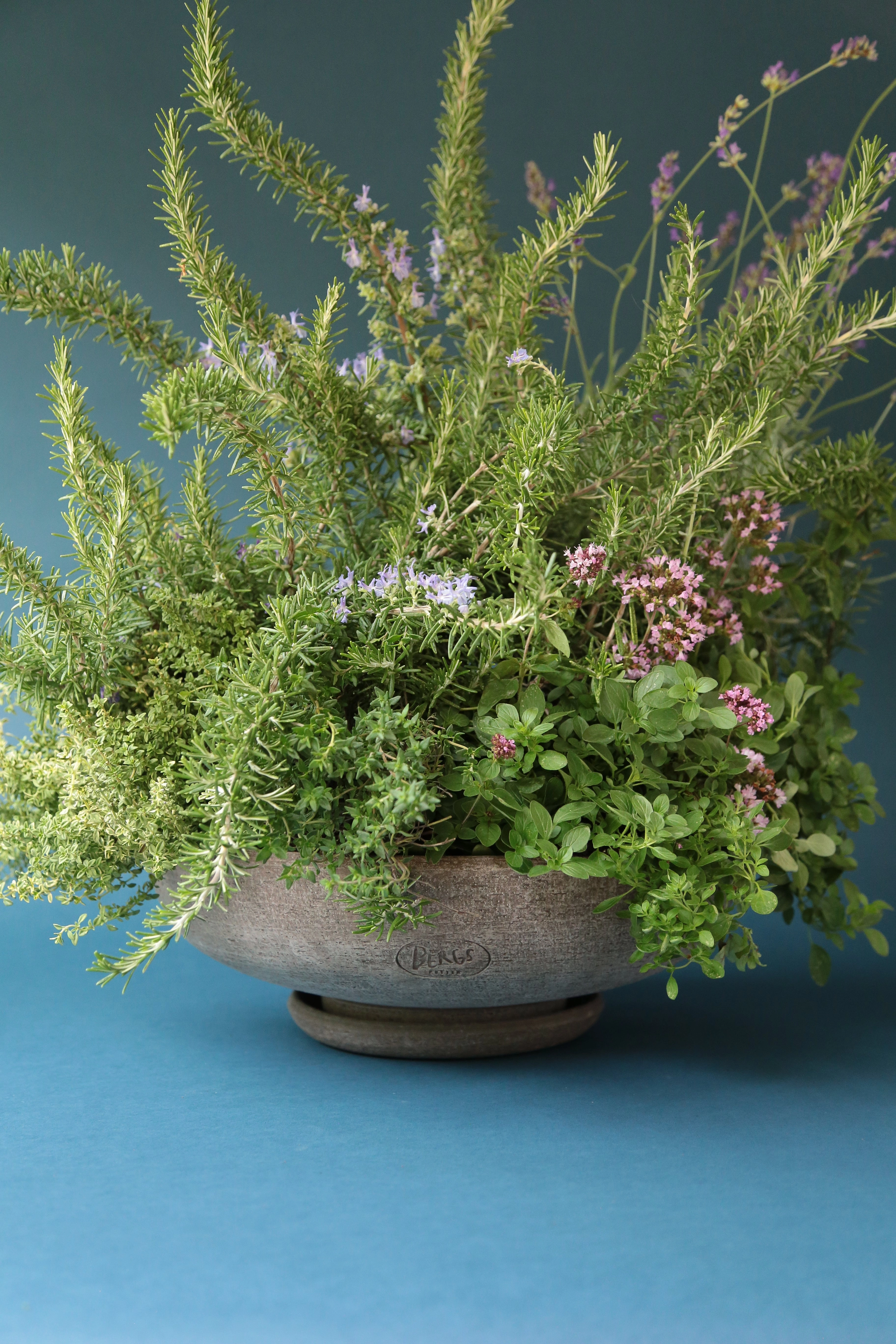 Ada Clay Bowl & Saucer Grey 40cm